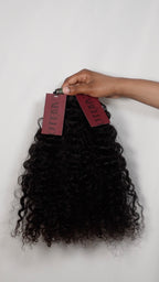 Burmese Curl