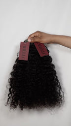Burmese Curl